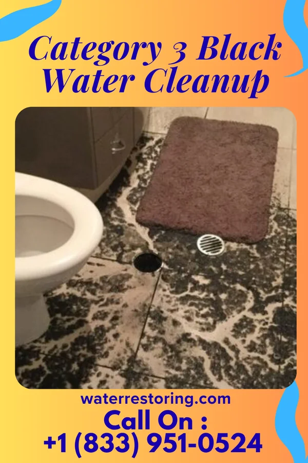 Category 3 Black Water Cleanup in Exeter, PA