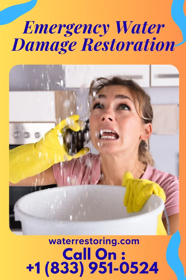 Emergency Water Damage Restoration in Exeter, PA