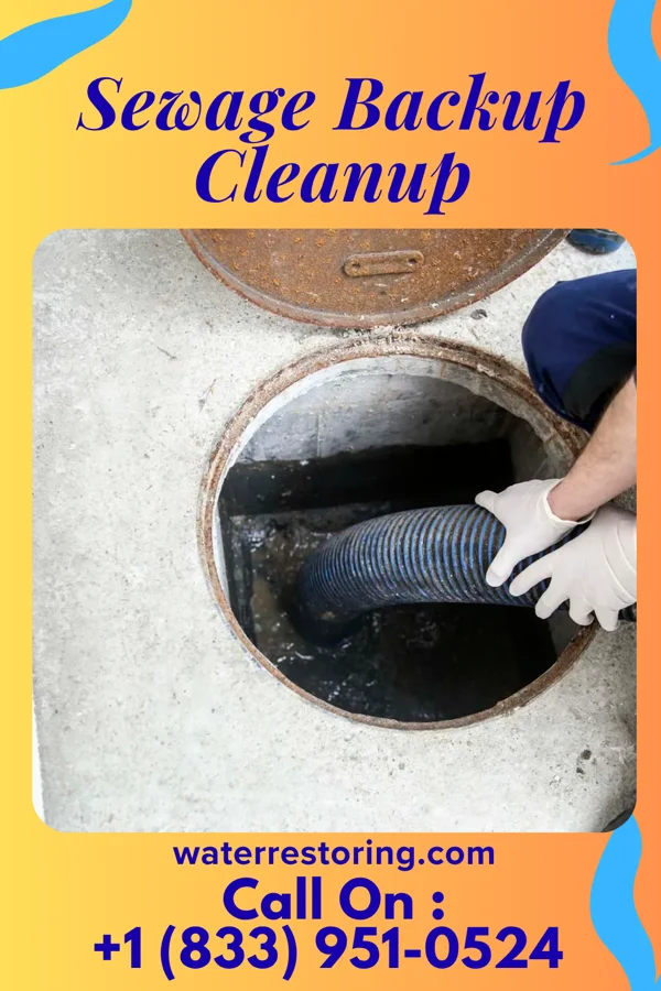 Sewage Backup Cleanup in Exeter, PA